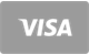 Visa card deposit method accepted at LuckyCapone Casino